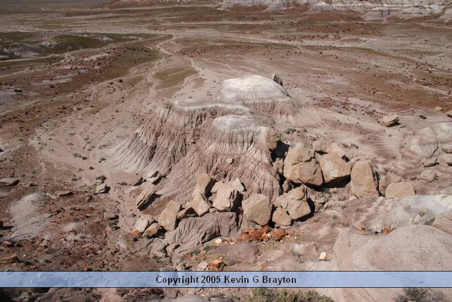 PetrifiedForest_200504_1.JPG
