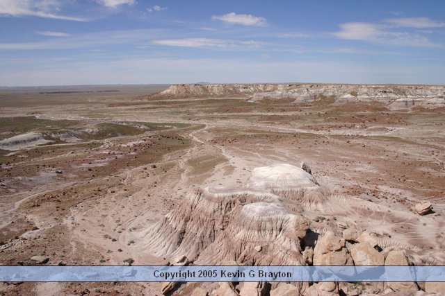 PetrifiedForest_200504_2.JPG