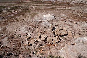 PetrifiedForest_200504_1.JPG