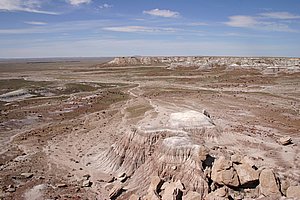 PetrifiedForest_200504_2.JPG