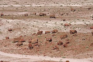 PetrifiedForest_200504_3.JPG
