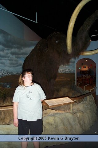 WildlifeMuseum_200504_30.JPG