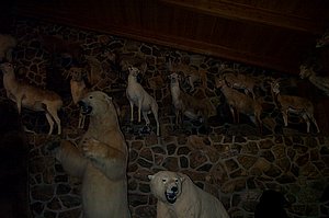 WildlifeMuseum_200504_17.JPG